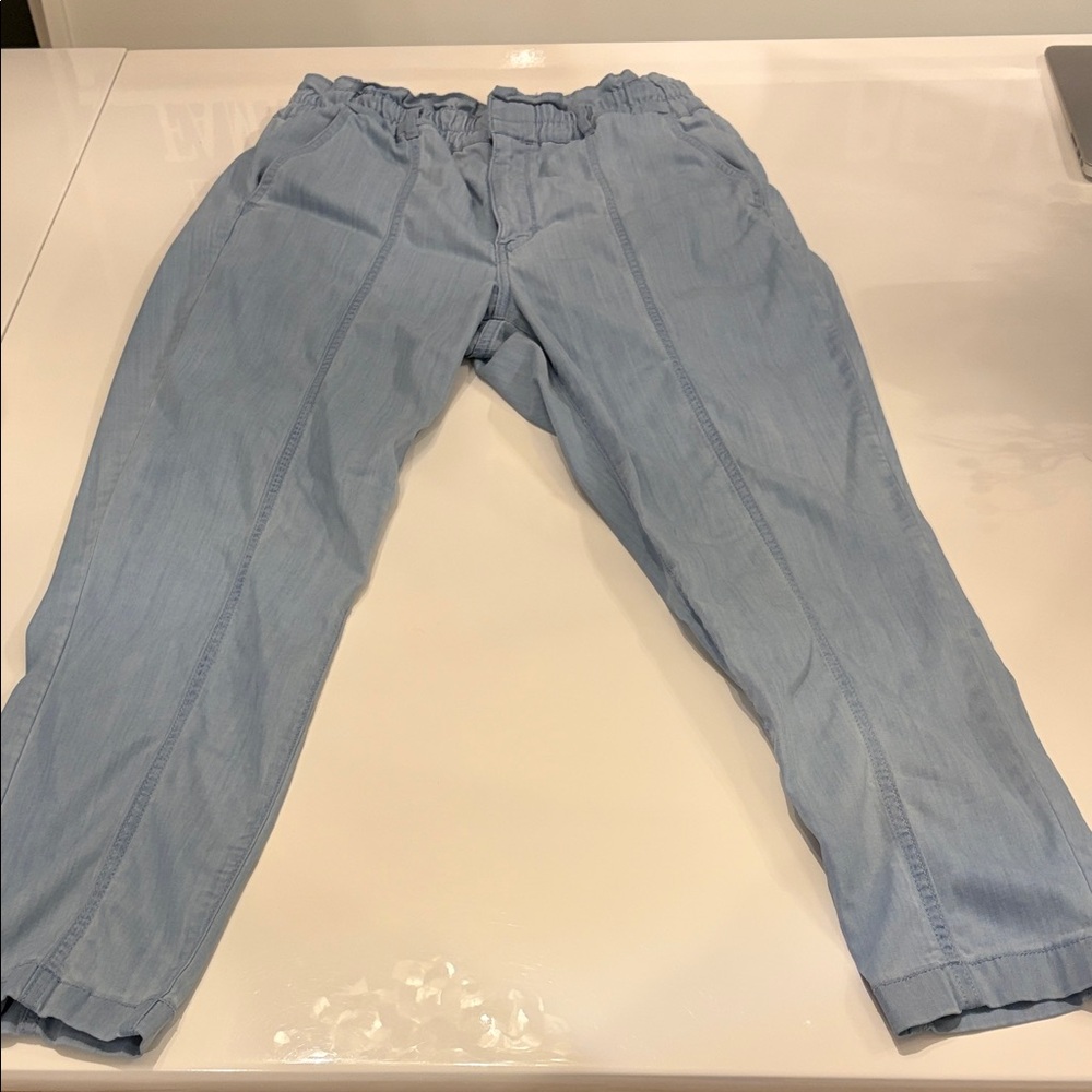 WHBM Light Blue Pants
